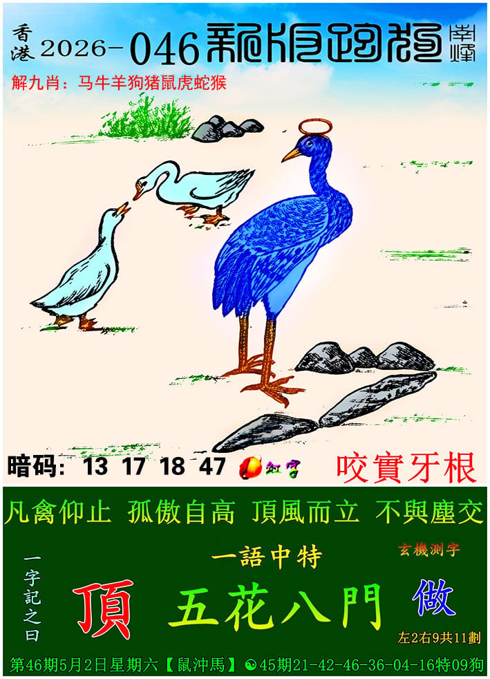 ����Ŵ�